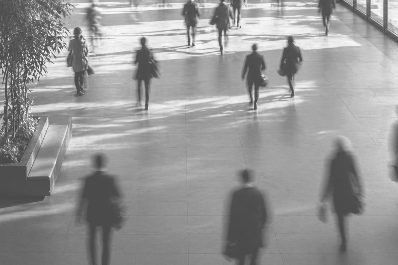 City A.M. – If performance matters more than privilege then prove it